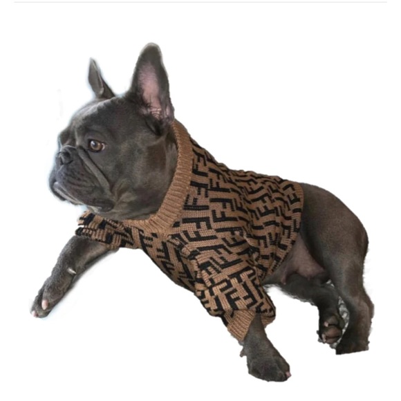 DOG fashion sweater - Picture 2 of 2